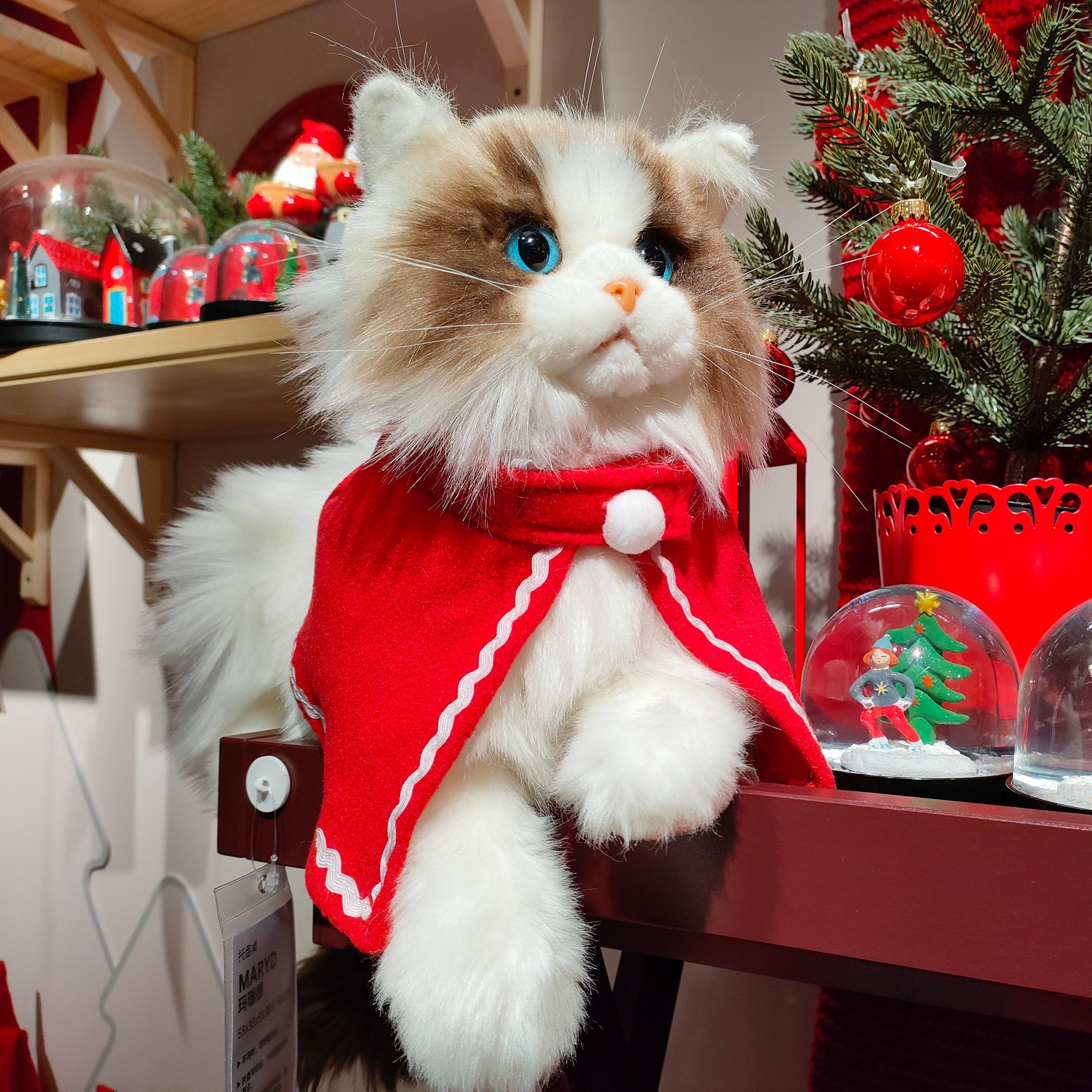 Ragdoll Cat Plush – Companion Toy for Cat Lovers