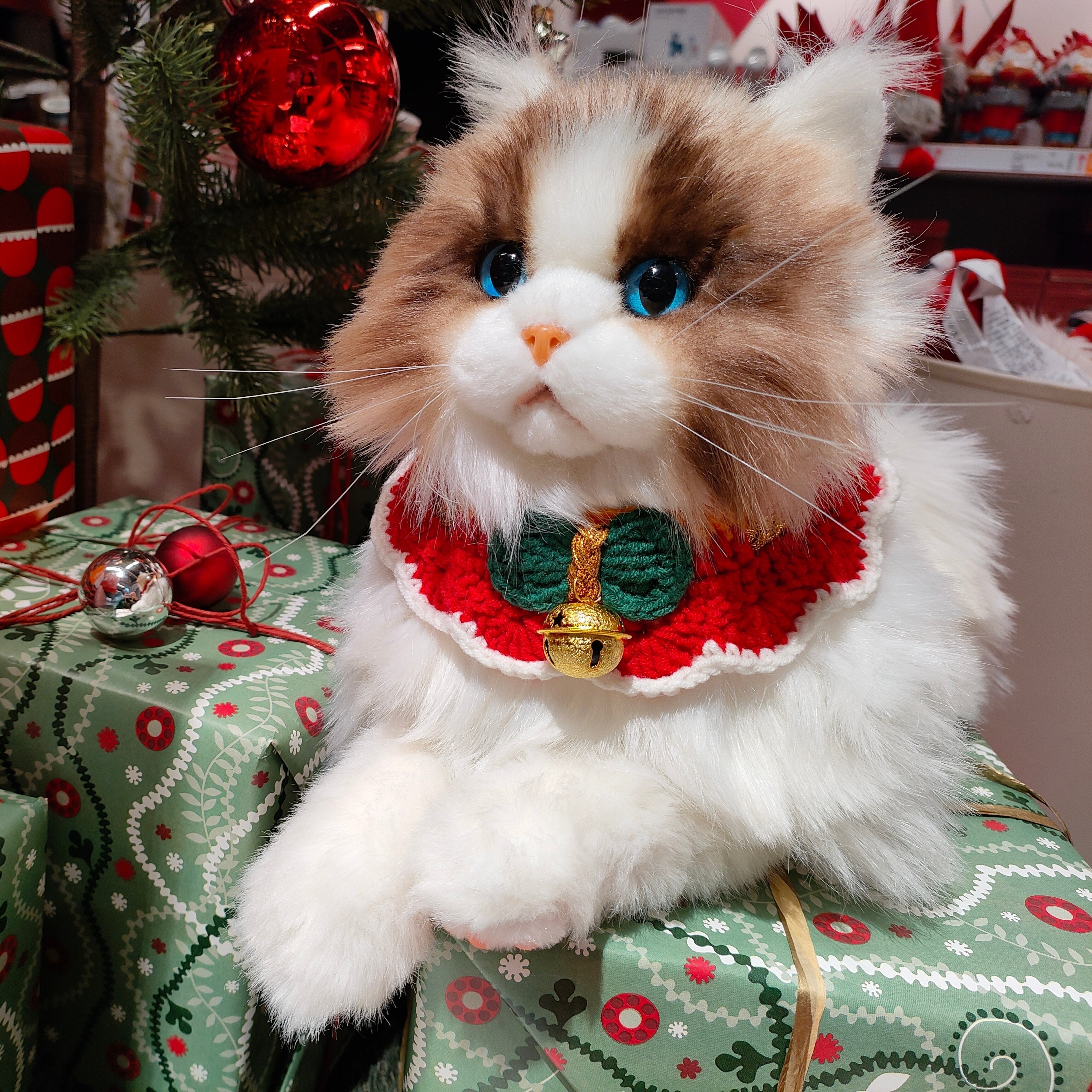 Ragdoll Cat Plush – Companion Toy for Cat Lovers