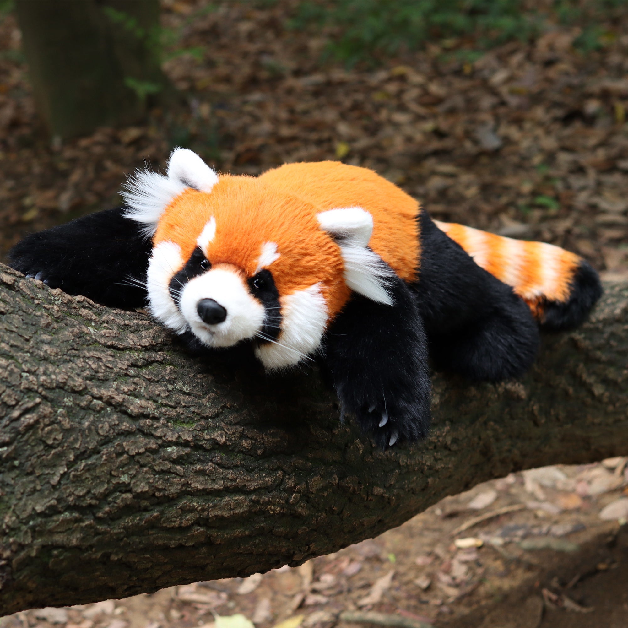 Red Panda Weighted Plush – Snuggle Toy for Stress Relief
