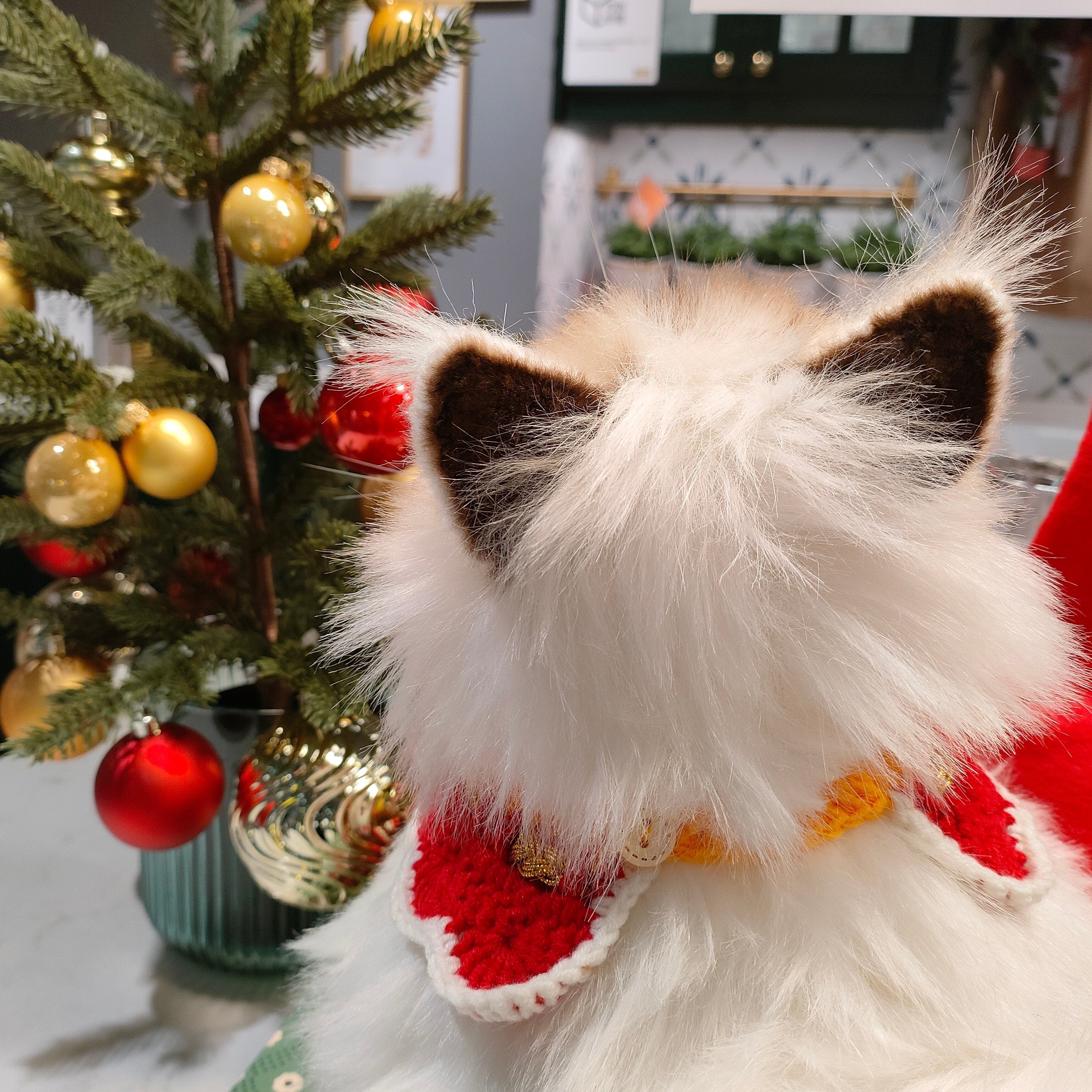 Ragdoll Cat Plush – Companion Toy for Cat Lovers