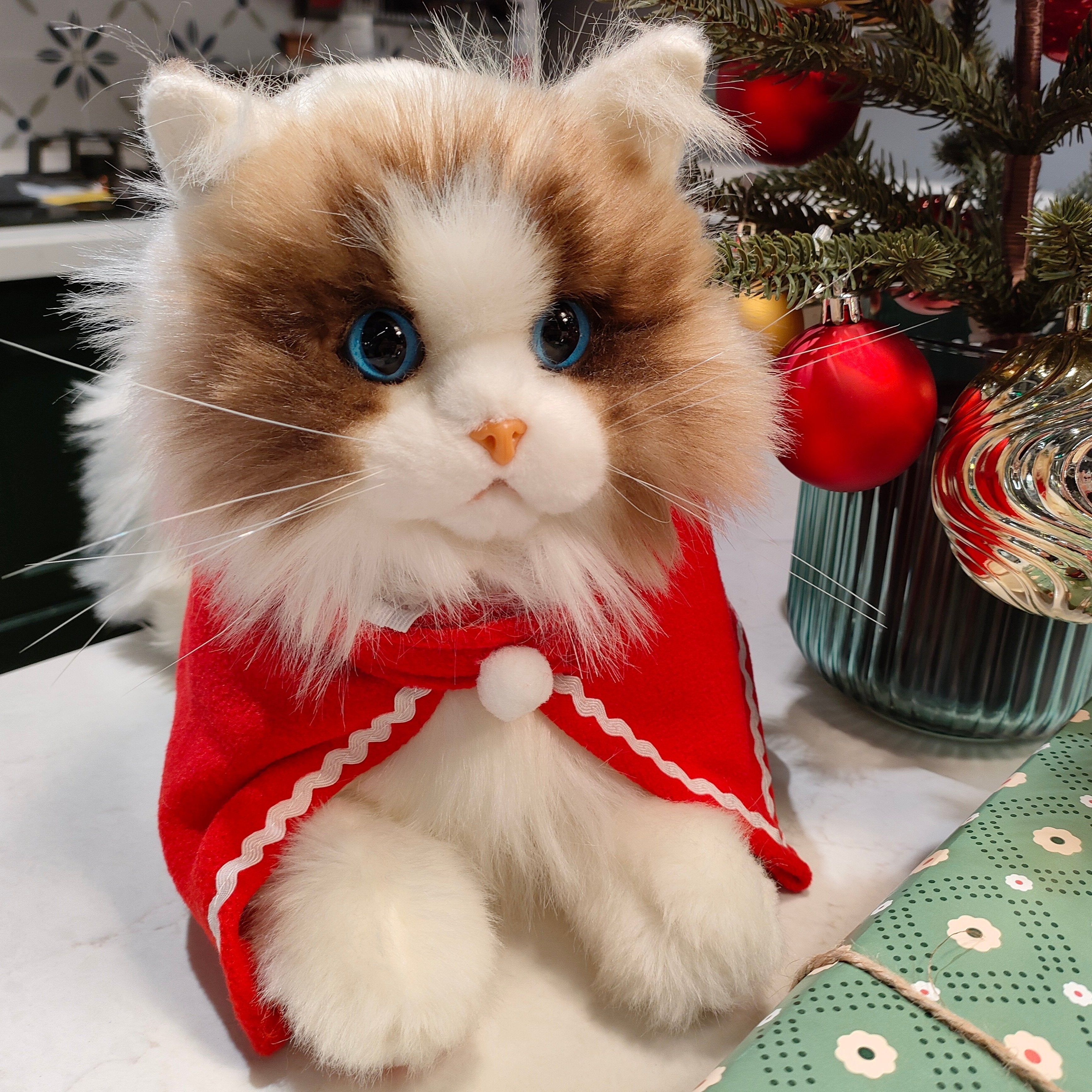 Ragdoll Cat Plush – Companion Toy for Cat Lovers