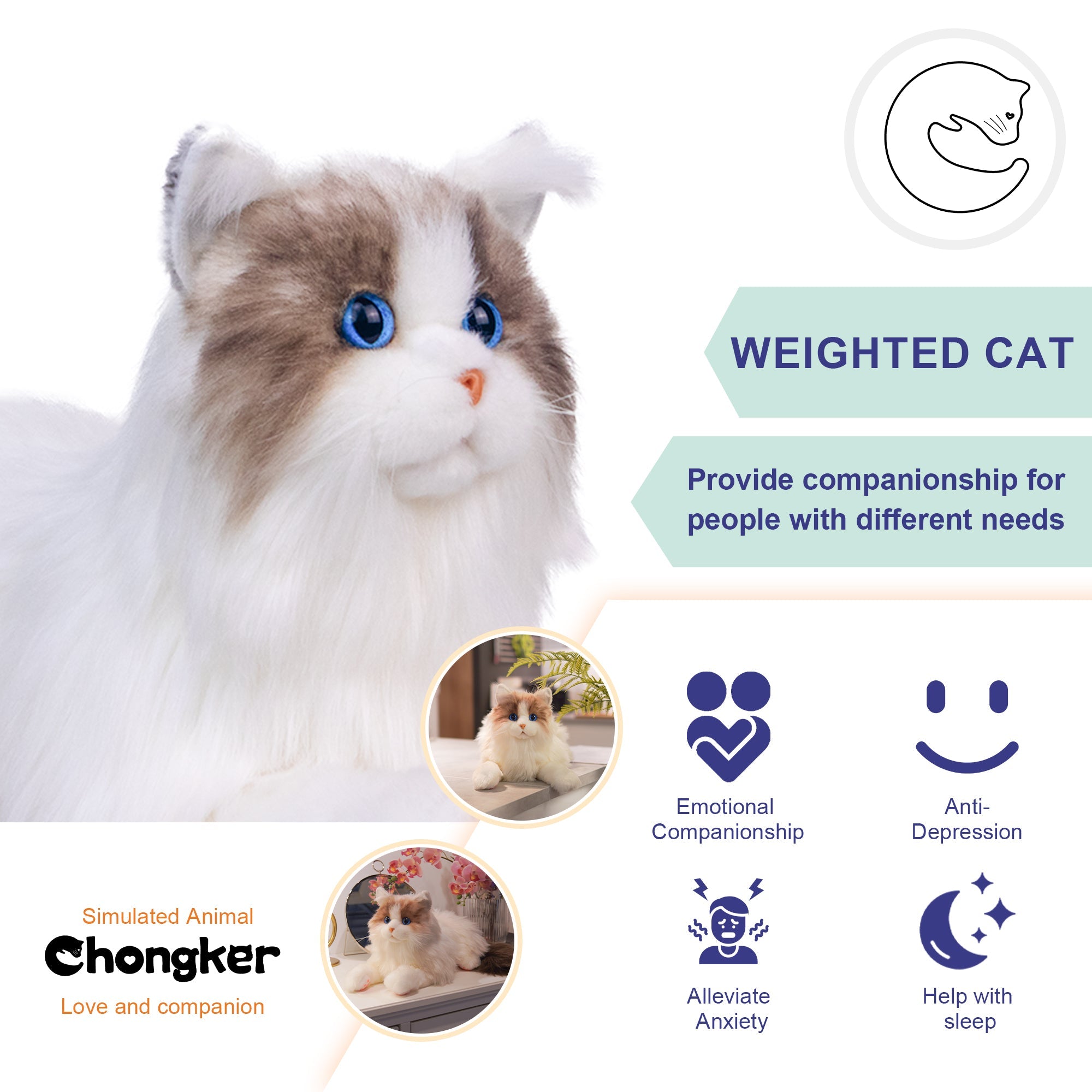Ragdoll Cat Plush – Companion Toy for Cat Lovers