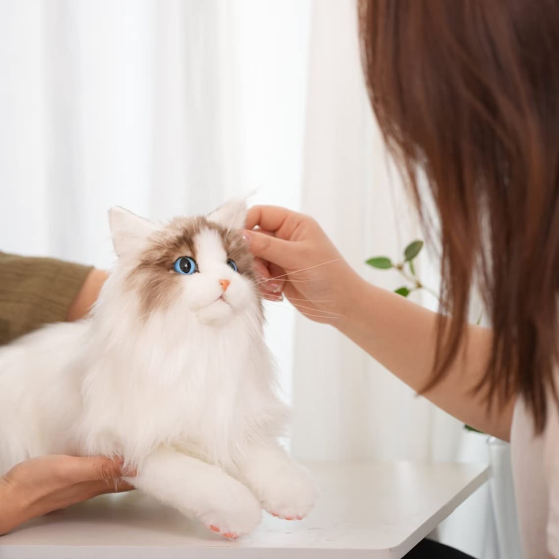 Ragdoll Cat Plush – Companion Toy for Cat Lovers