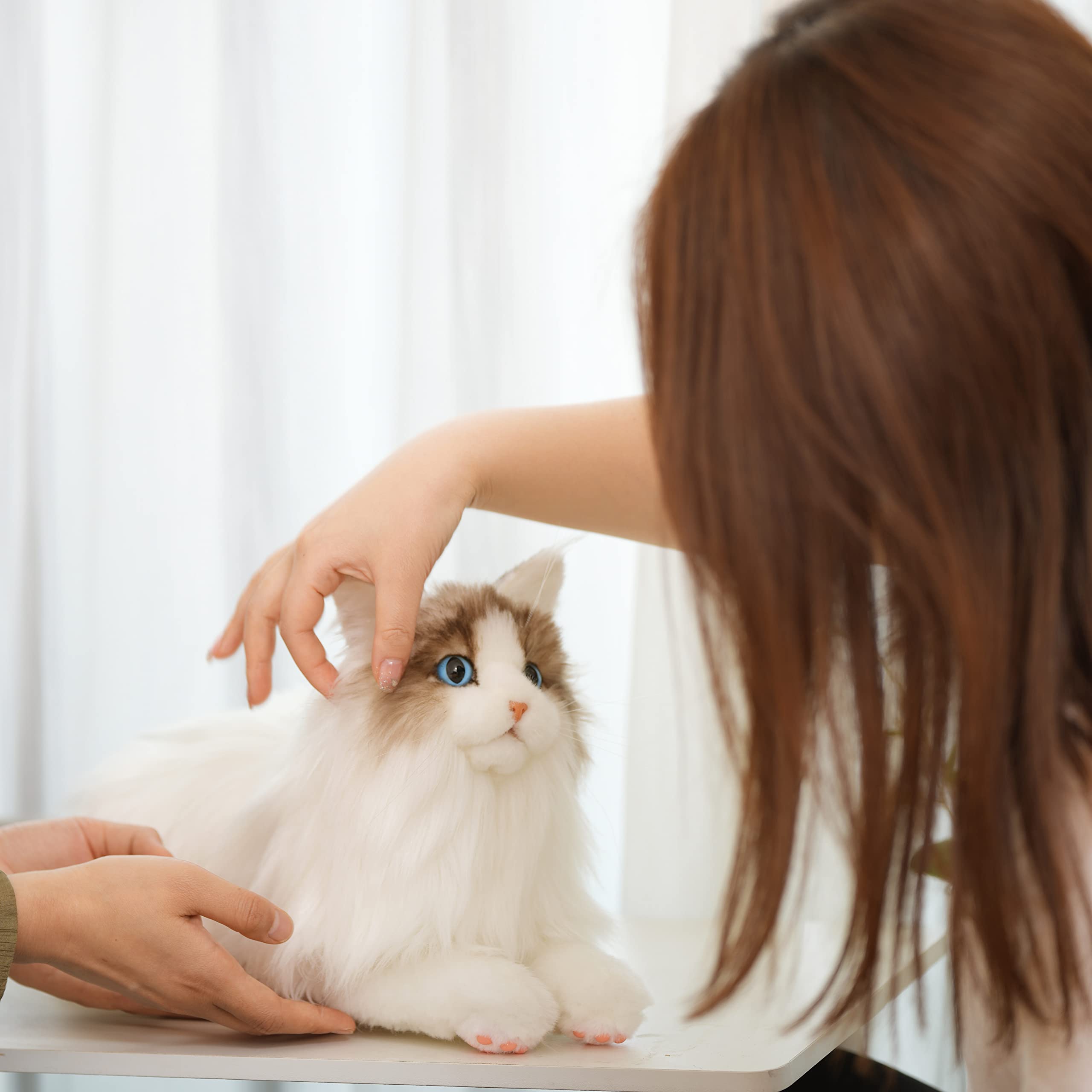 Ragdoll Cat Plush – Companion Toy for Cat Lovers