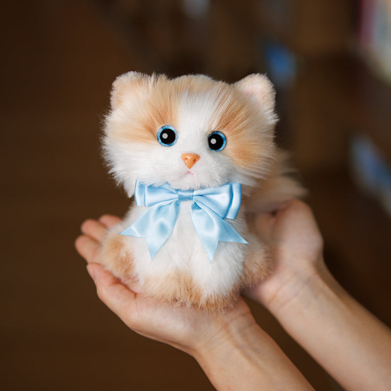 Ragdoll Cat Keychain – Kawaii Bag Charm for Teens