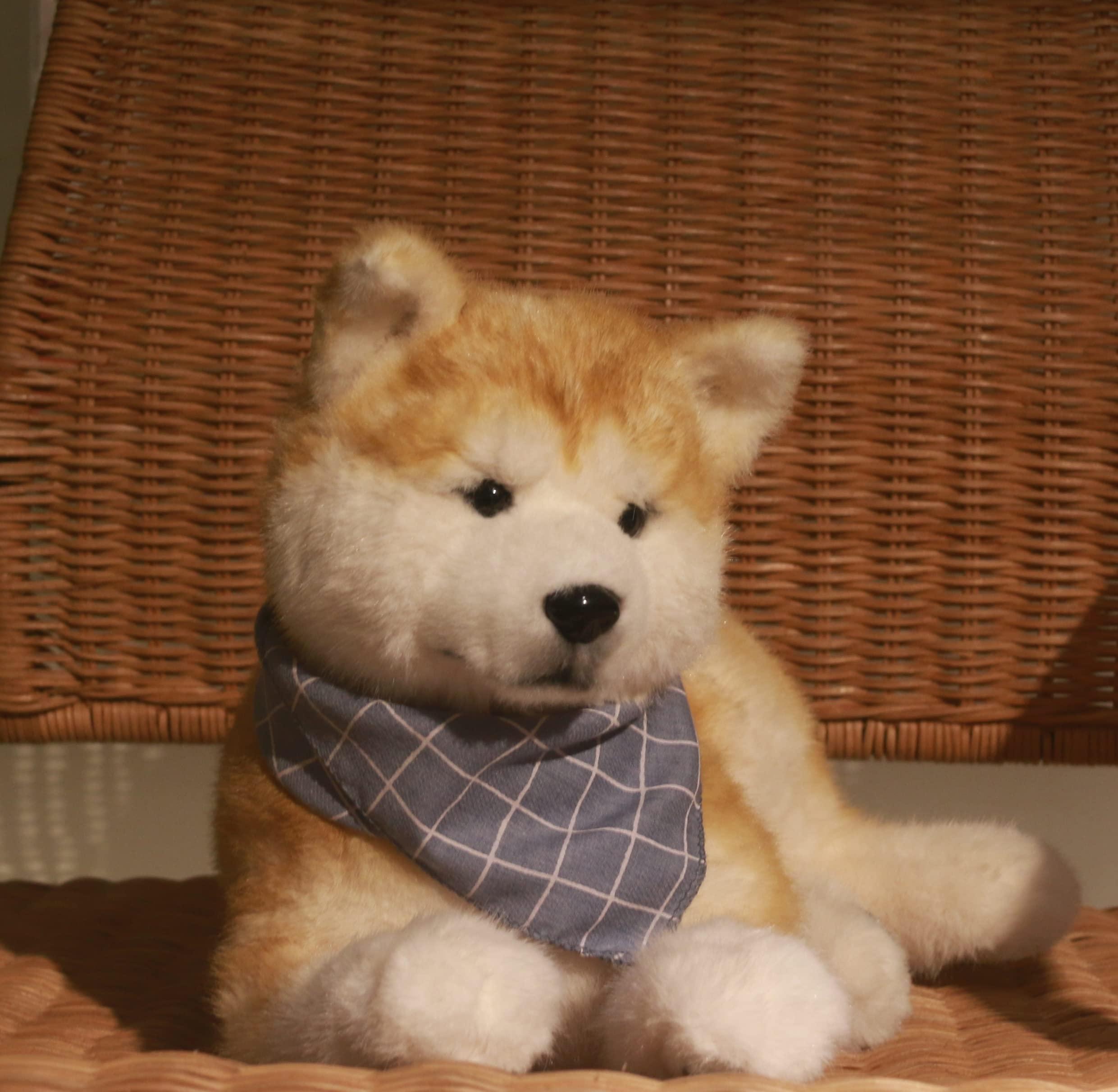 Shiba Inu Dog Plush – Cuddly Gift for Dog Lovers