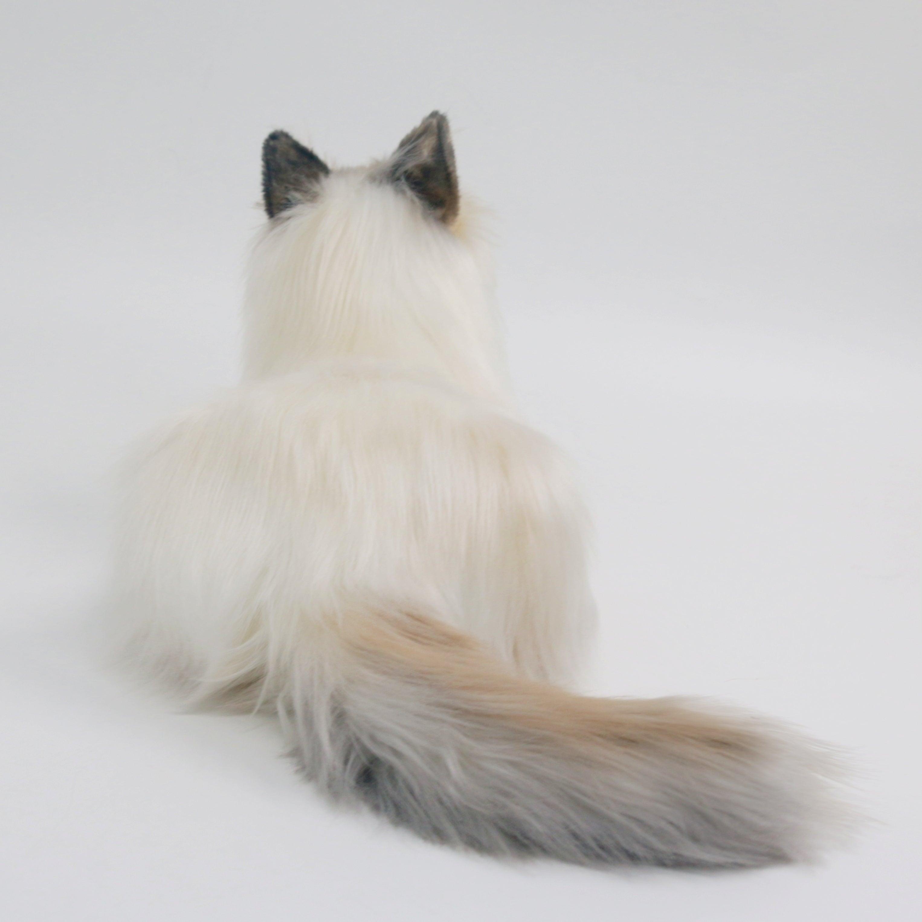 NO.9 Brown Hair Cat with Blue Eyes Order to Make