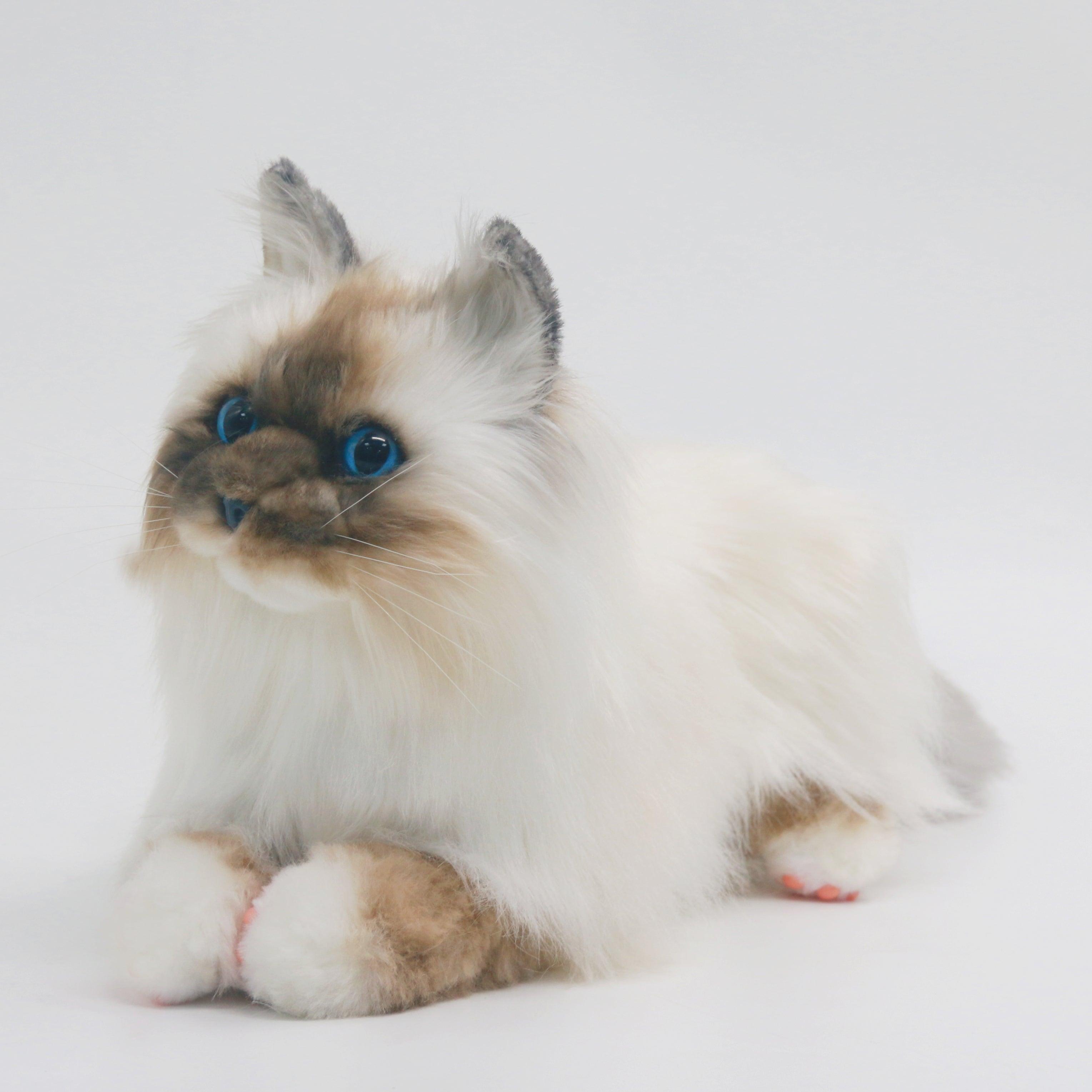 NO.9 Brown Hair Cat with Blue Eyes Order to Make