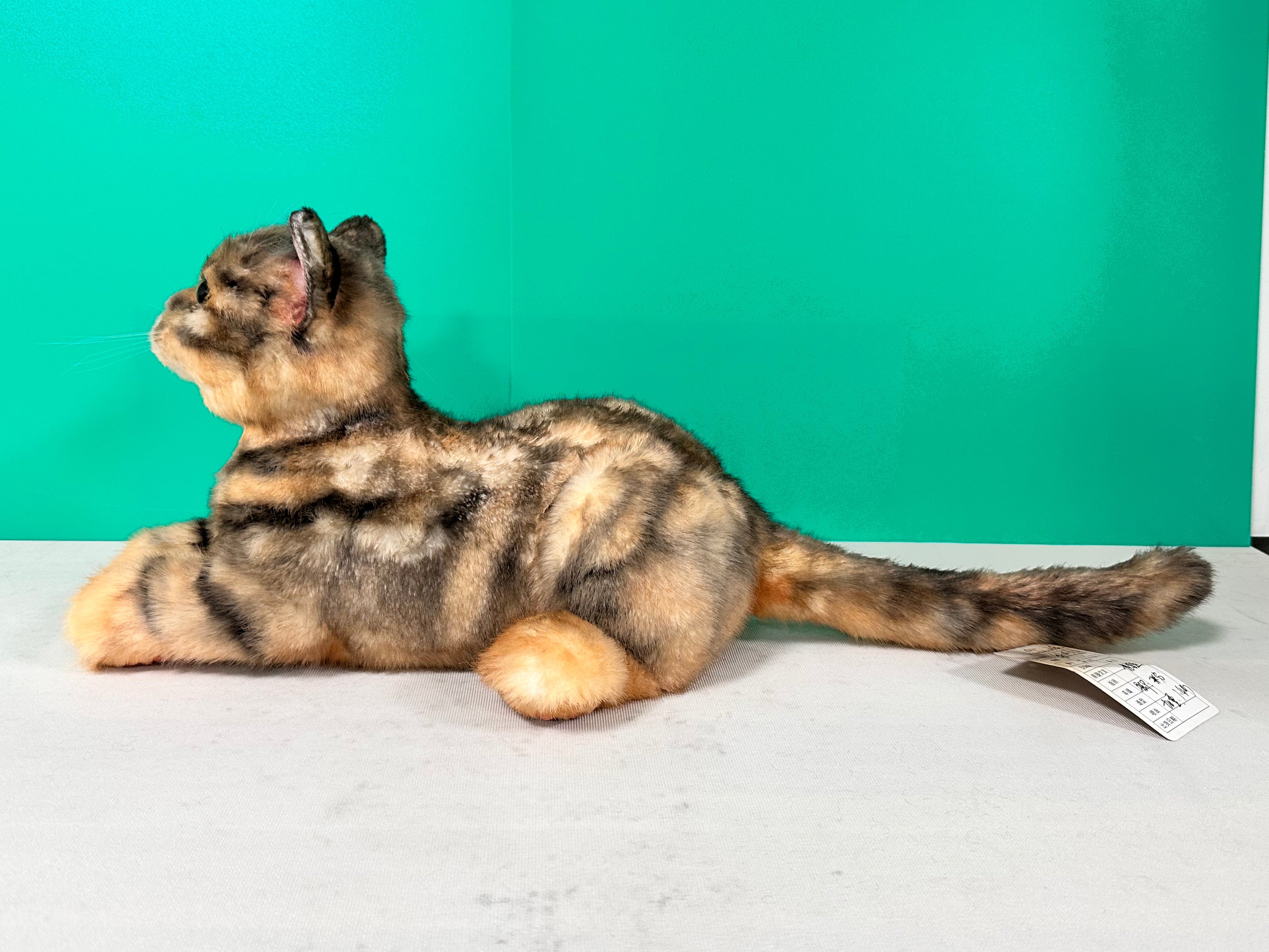 Leopard Cat Order to Make