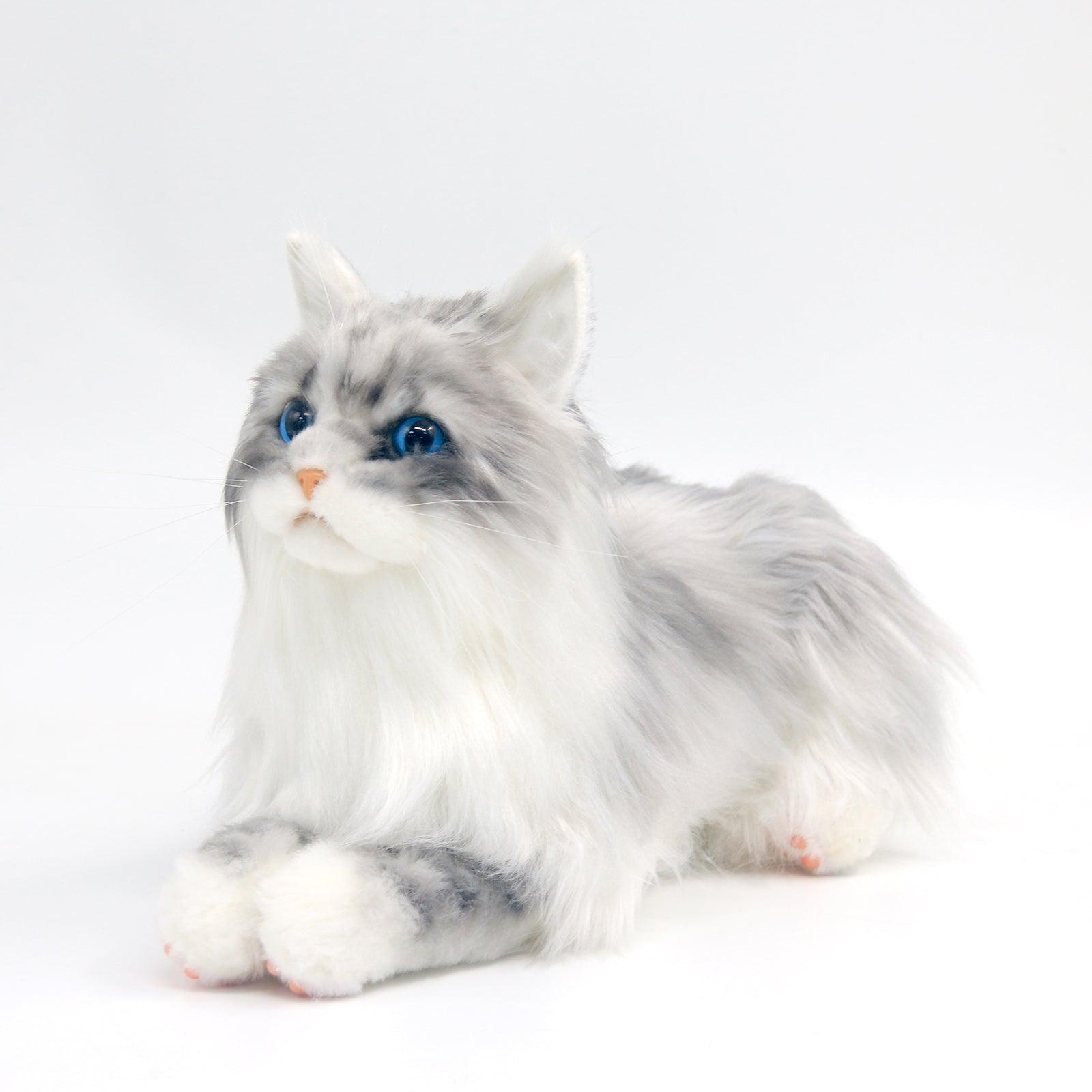 No.1 Grey Hair Cat with Blue Eyes Order to Make