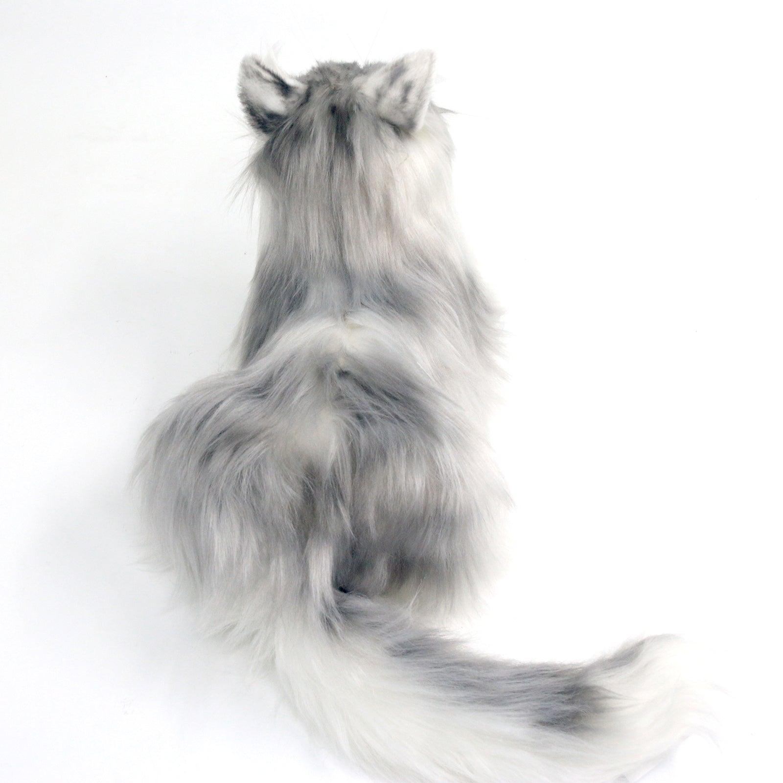 No.1 Grey Hair Cat with Blue Eyes Order to Make