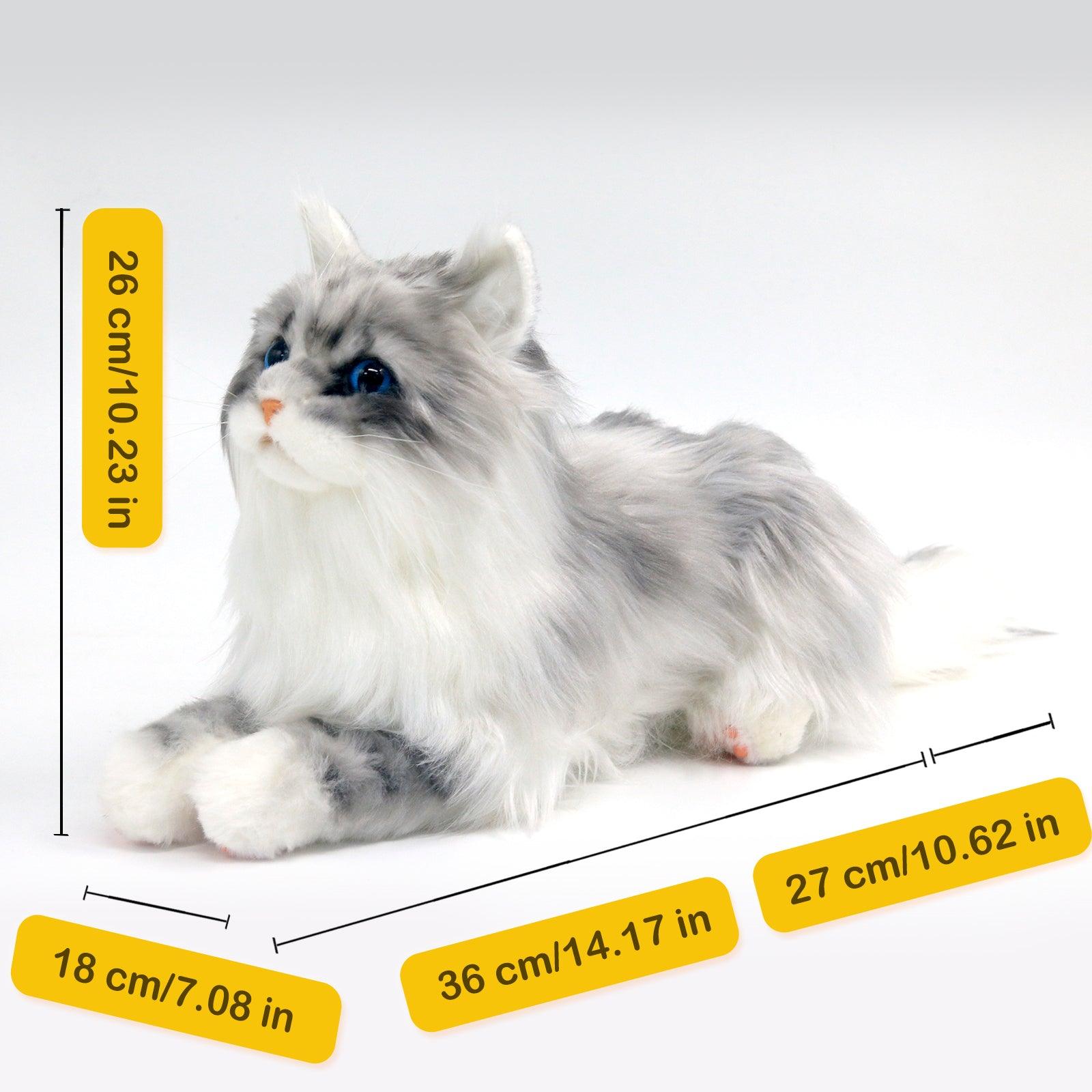 No.1 Grey Hair Cat with Blue Eyes Order to Make