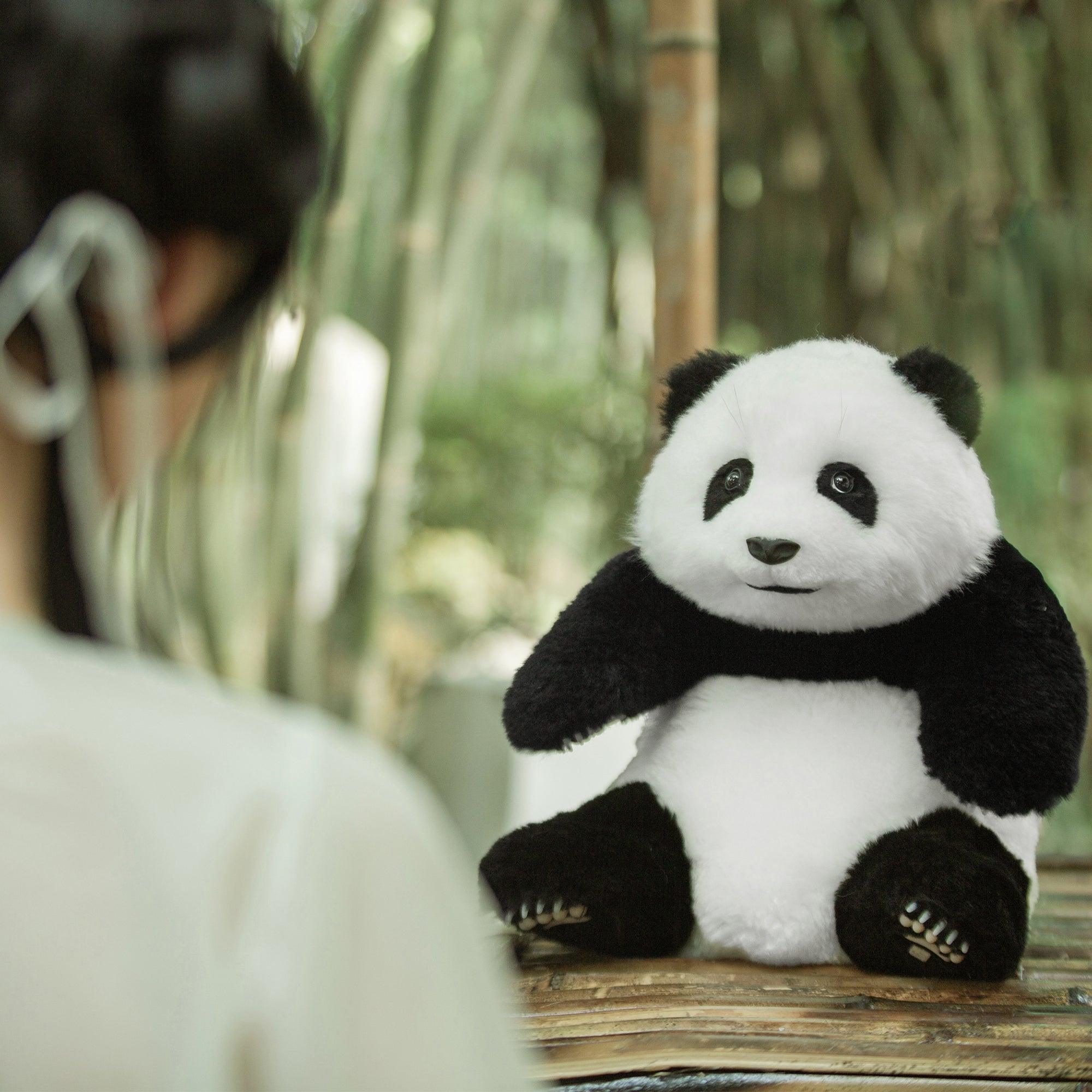 Hehua Panda Wool Plush – Weighted Collectible Gift