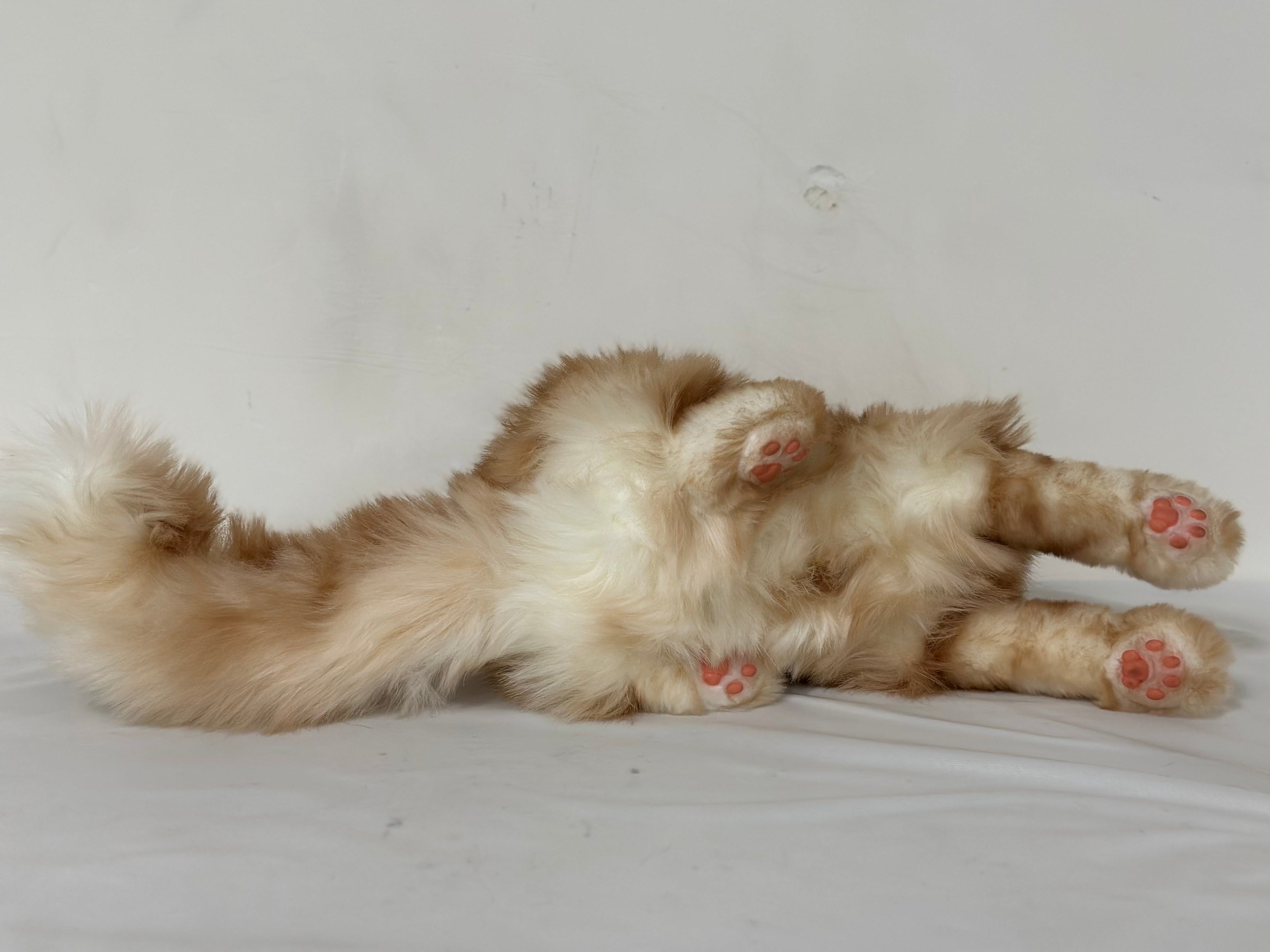 Ginger Cat Longhair Plush MADE-TO-ORDER