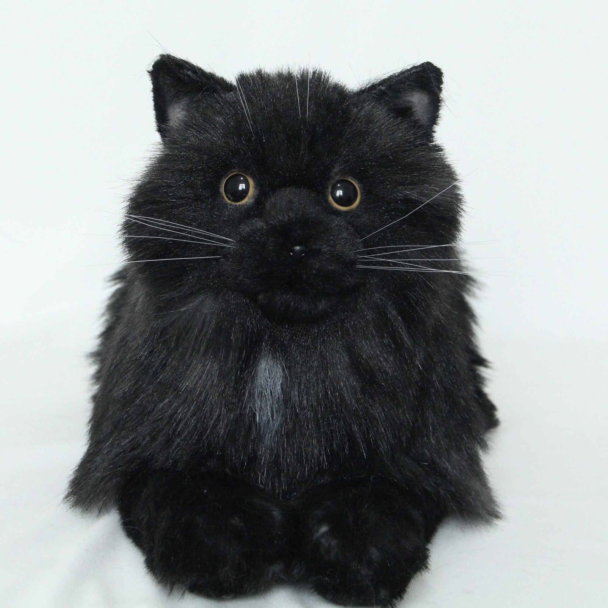 Fully Black Cat MADE-TO-ORDER