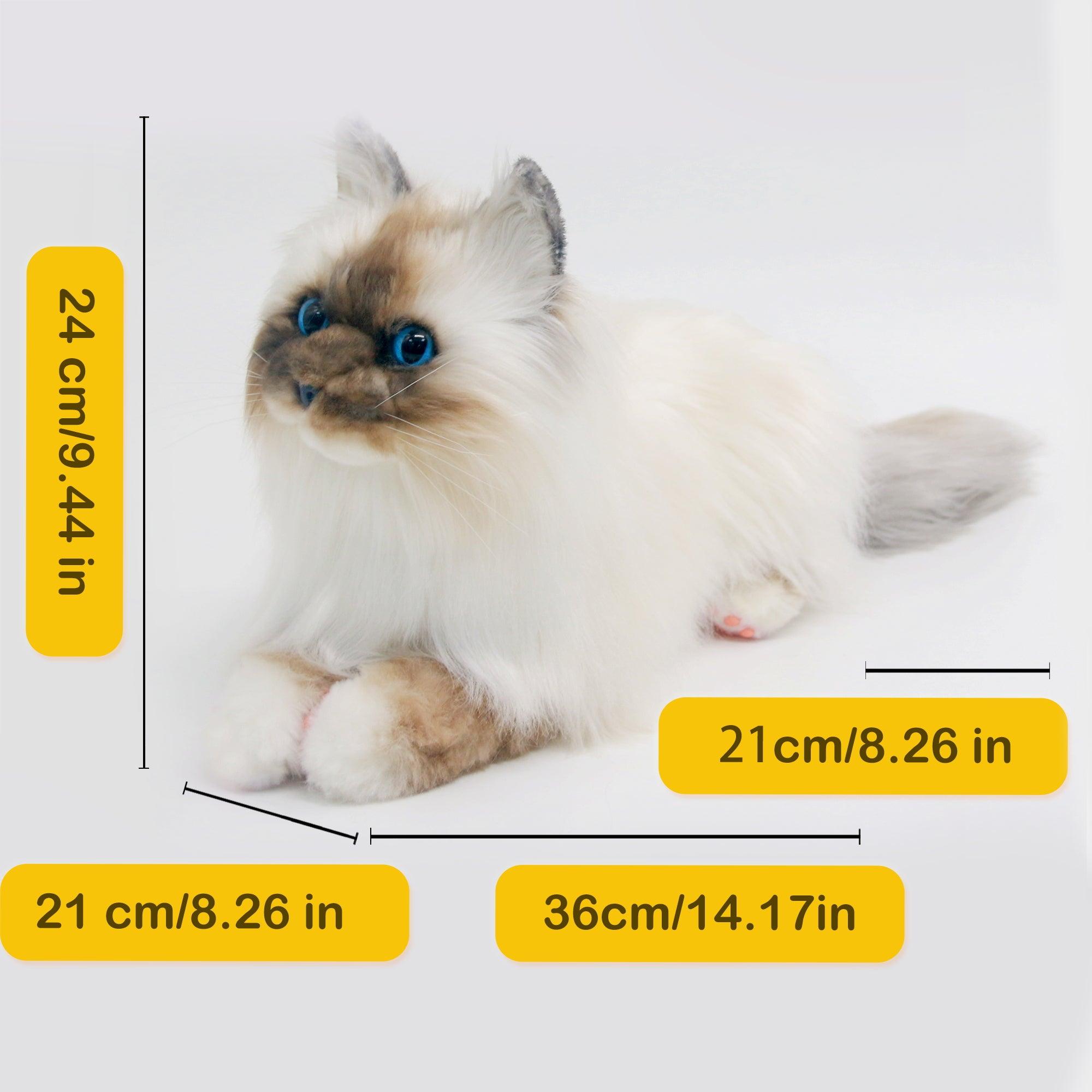 NO.9 Brown Hair Cat with Blue Eyes Order to Make